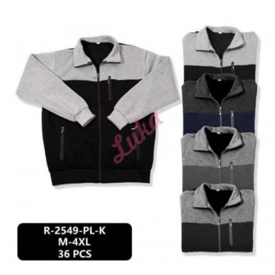 Men's hoodie R-2549-PL-K