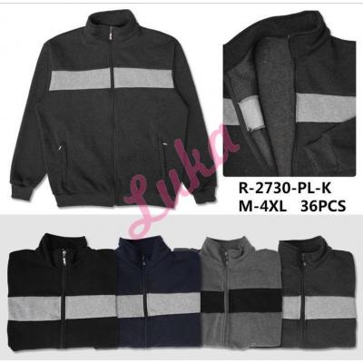 Men's hoodie R-2730-PL-K