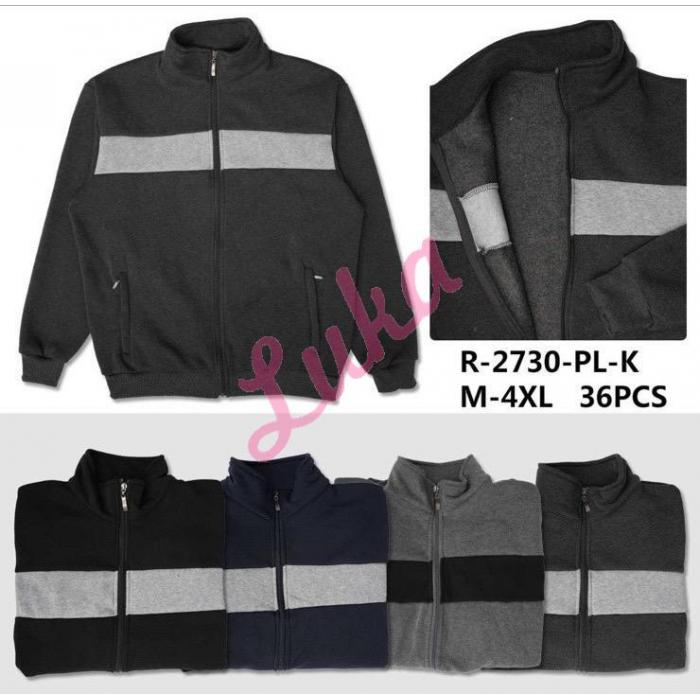 Men's hoodie R-2549-PL-K
