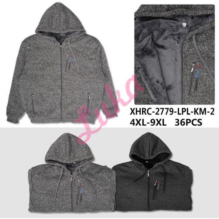 Men's hoodie R-2730-PL-K