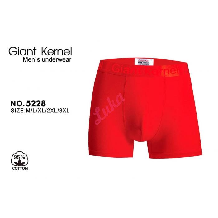 Men's boxer Mantegz F841A-1 Big size
