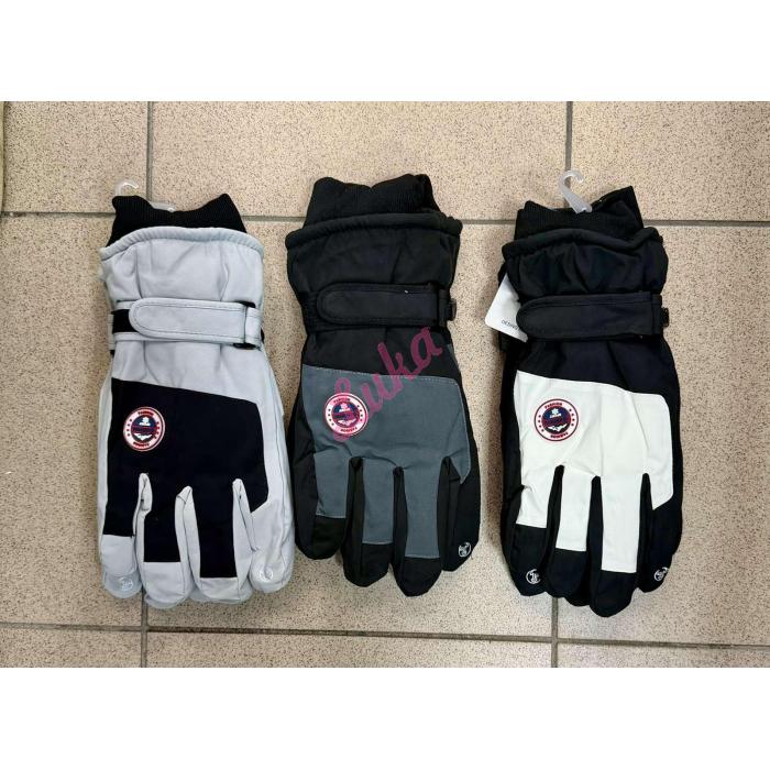 Men`s gloves SNO-144